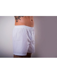 Electromagnetic wave-cancelling underpants 2