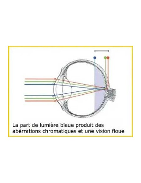 Lunettes PRiSMA® – CLASSIC LiTE95 anti-lumière bleue – E704